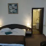 Vila Micul Castel