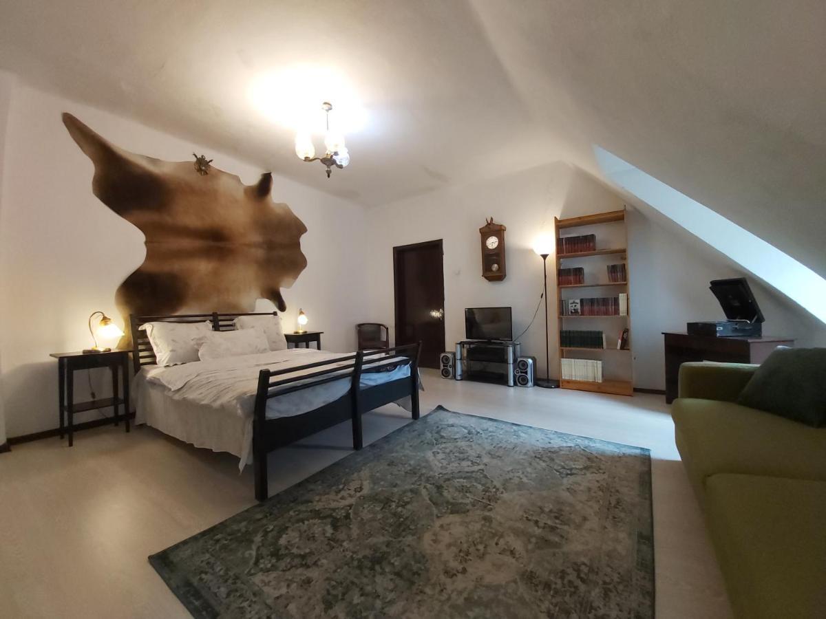 Guest house Micul Castel